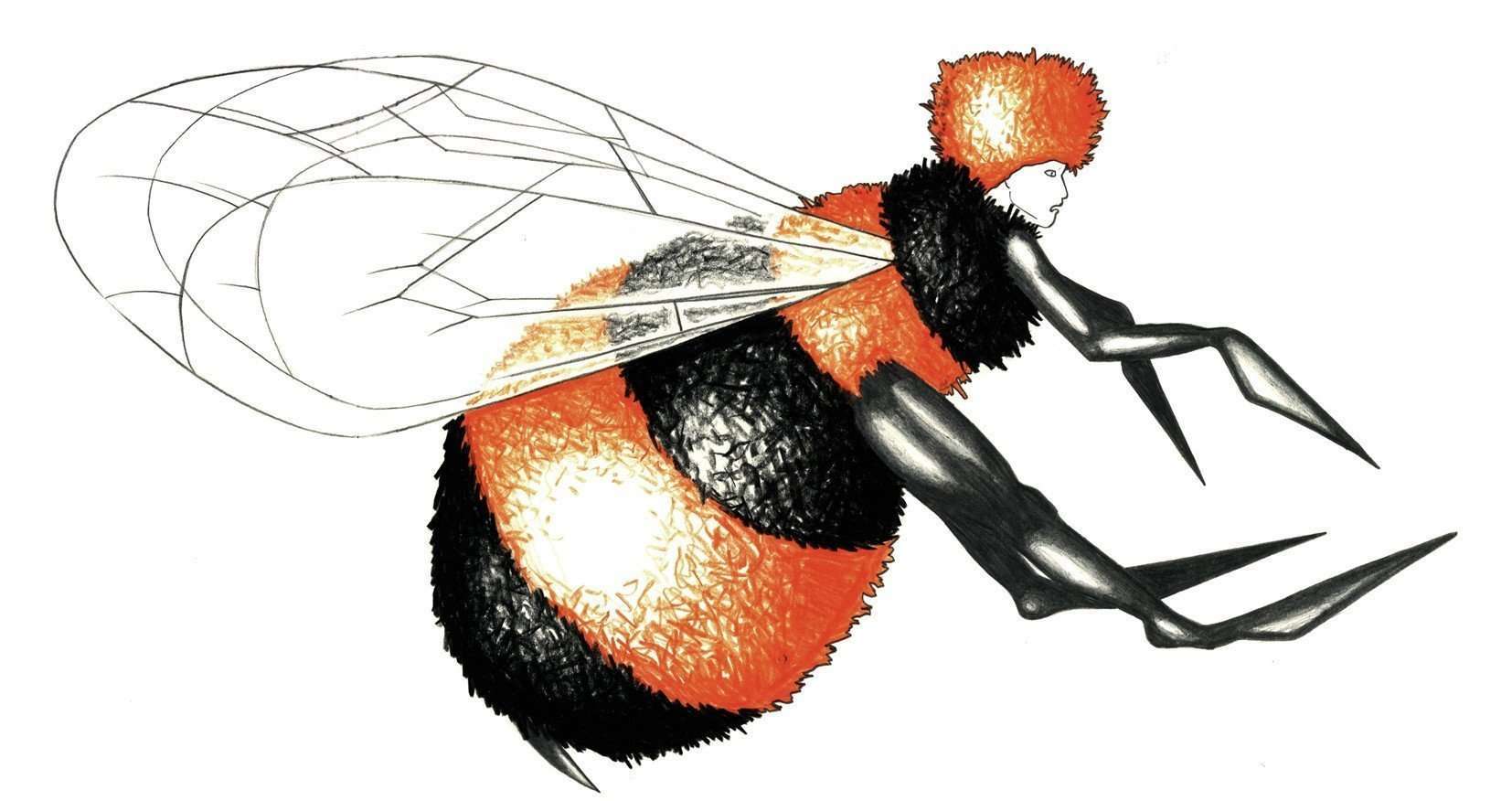  Simon Lima Holdsworth