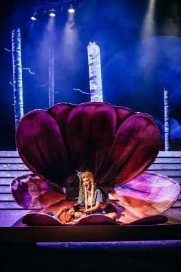 Simon Lima Holdsworth