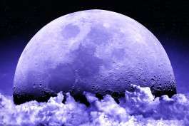  Simon Lima Holdsworth