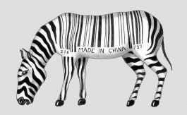  Simon Lima Holdsworth